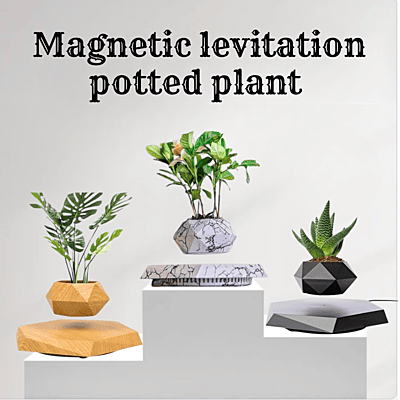 Magnetic Levitating Flower Pot – 360° Smart Rotating Floating Air Planter Showpiece