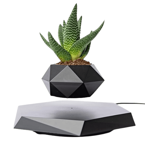 Magnetic Levitating Flower Pot – 360° Smart Rotating Floating Air Planter Showpiece