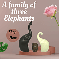 A family of three Elephants