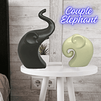 Couple Elephant