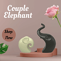 Couple Elephant