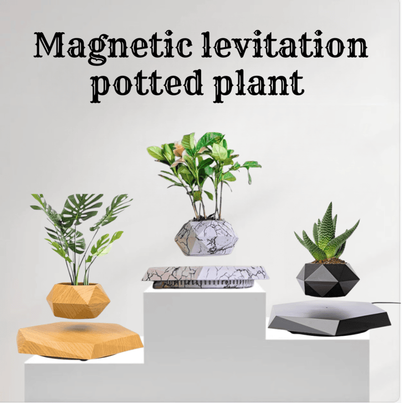 Magnetic Levitating Flower Pot