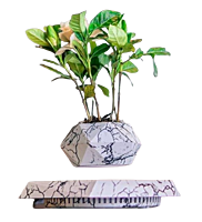 Magnetic Levitating Flower Pot