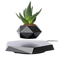 Magnetic Levitating Flower Pot